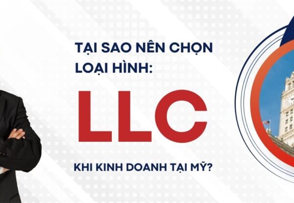 LLC MỸ