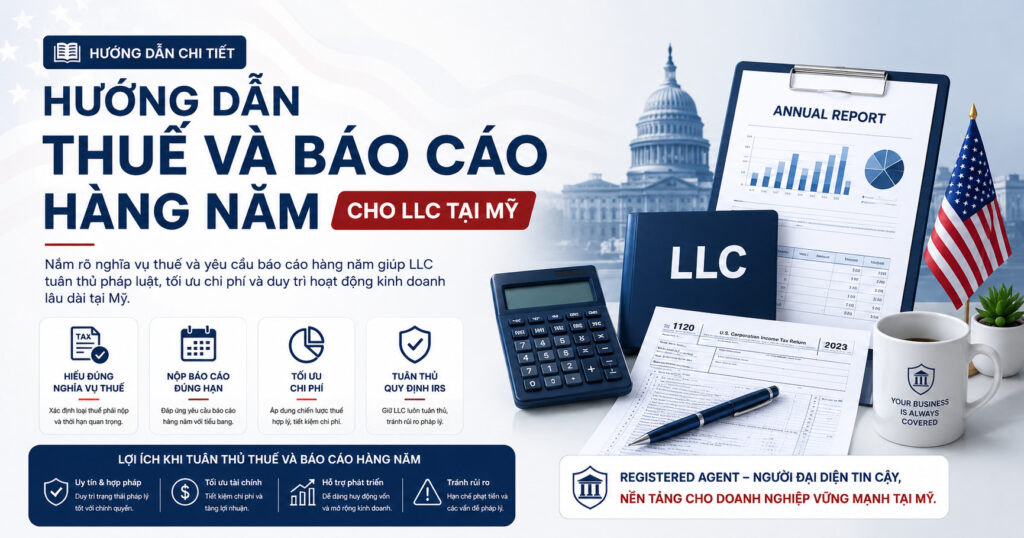 Báo cáo thuế cho llc mỹ