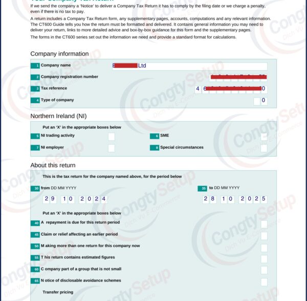 Khai Thuế & Nộp Báo Cáo Tài Chính Hàng Năm cho Công Ty UK LTD