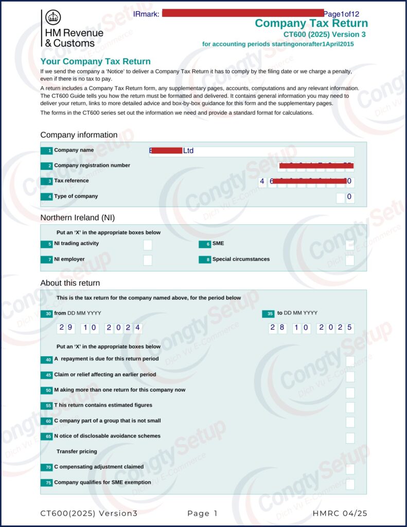 Khai Thuế & Nộp Báo Cáo Tài Chính Hàng Năm cho Công Ty UK LTD