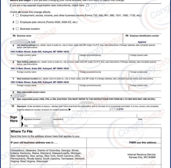 đổi Director cho llc mỹ