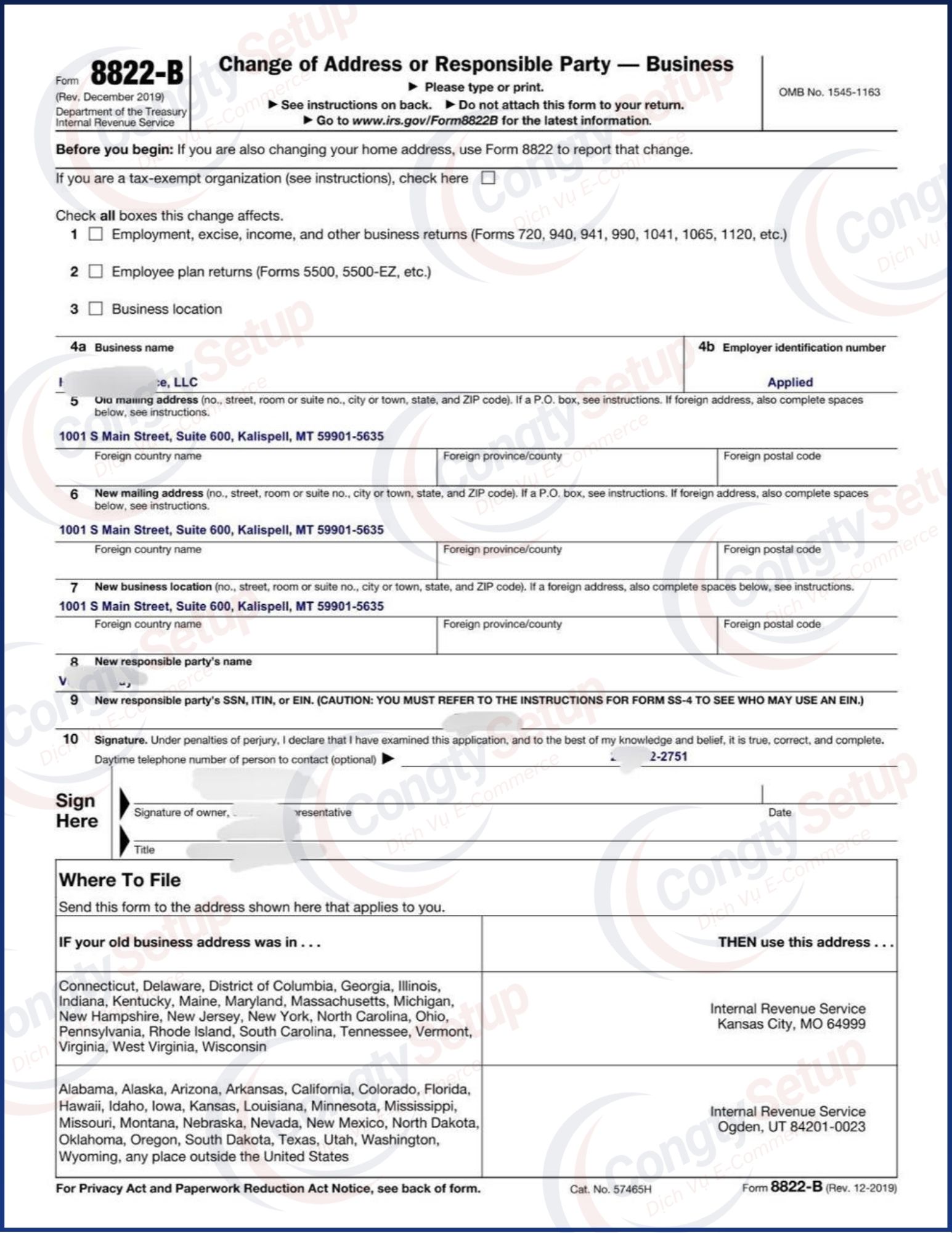 đổi Director cho llc mỹ