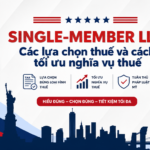 Single-Member LLC: Các lựa chọn thuế và cách tối ưu nghĩa vụ thuế