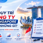 Hướng Dẫn Duy Trì Công Ty Tại Singapore Cho Doanh Nghiệp Việt