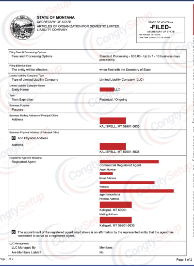 Đăng Ký LLC Mỹ tại Bang Montana