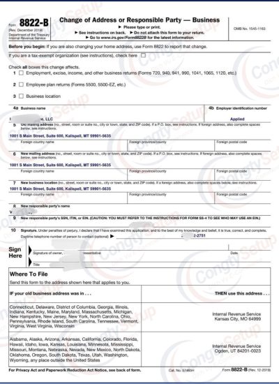 đổi Director cho llc mỹ