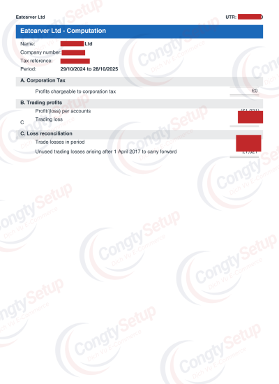 Khai Thuế & Nộp Báo Cáo Tài Chính Hàng Năm cho Công Ty UK LTD