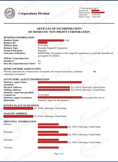 nonprofit mỹ