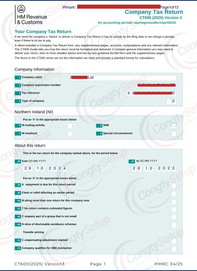 Khai Thuế & Nộp Báo Cáo Tài Chính Hàng Năm cho Công Ty UK LTD